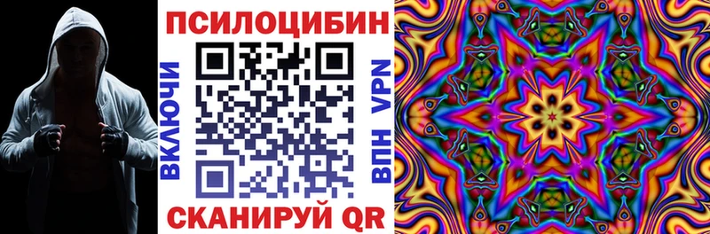 Галлюциногенные грибы Psilocybine cubensis  купить наркотики сайты  Петров Вал 